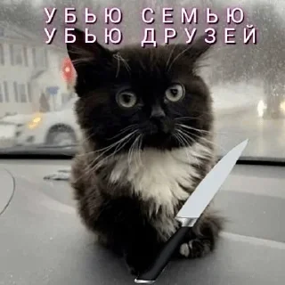 Sticker Набор стикеров от @Ctikerubot - 10