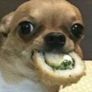 Sticker Набор стикеров от @Ctikerubot - 6