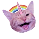 Sticker ✨ Котики-единороги @lennysticker - 1