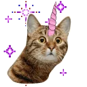 Sticker ✨ Котики-единороги @lennysticker - 9