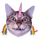Sticker ✨ Котики-единороги @lennysticker - 10