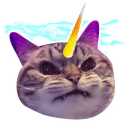 Sticker ✨ Котики-единороги @lennysticker - 8