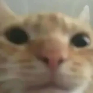 Sticker S⊥∀Ɔ - 11