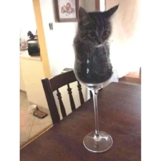 Sticker S⊥∀Ɔ - 6