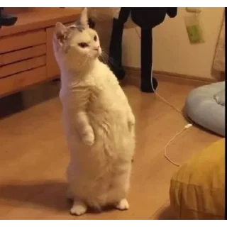 Sticker S⊥∀Ɔ - 1