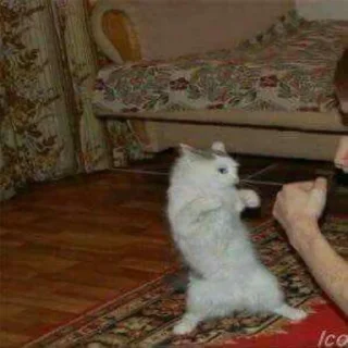 Sticker S⊥∀Ɔ - 8