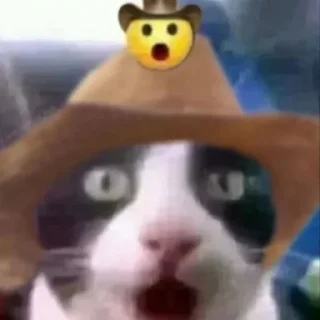 Sticker cats for gays - 10