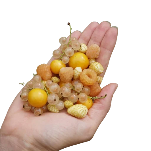 Стикер catharsis_16 - 1