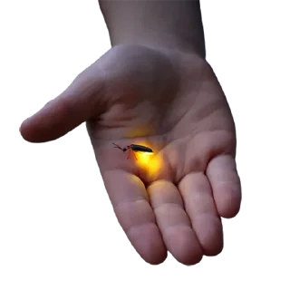 Sticker 👉🏻 @truecatharsis: Random Aesthetics #1 - 5