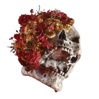 Sticker 👉🏻 @truecatharsis: Random Aesthetics #1 - 6