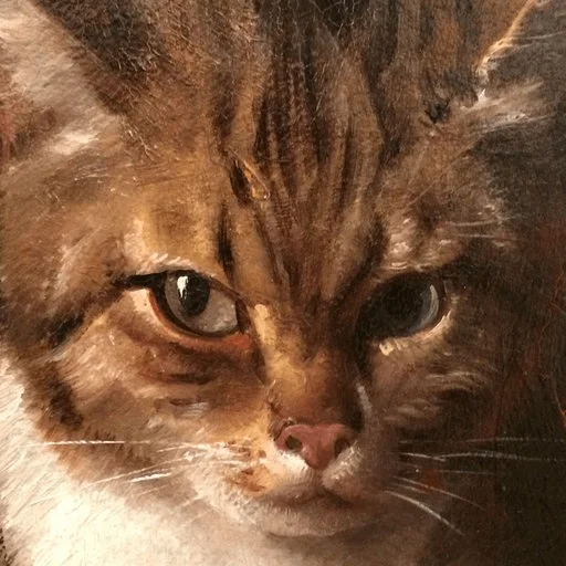 @truecatharsis #3 CATharsis - 