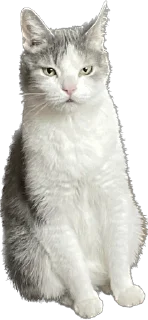 Sticker максик и киси миси - 11