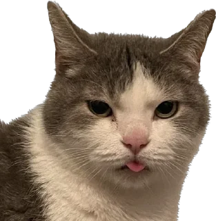 Sticker максик и киси миси - 3