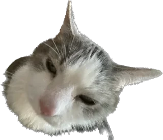 Sticker максик и киси миси - 0