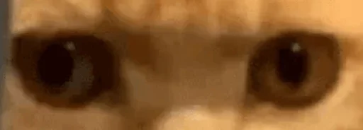 взор Макросъемка орган