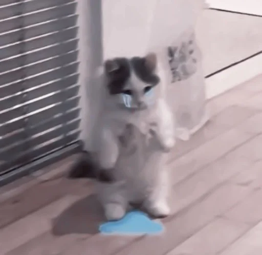 Стикер de @stickerfromlili :: @fStikBot - 11