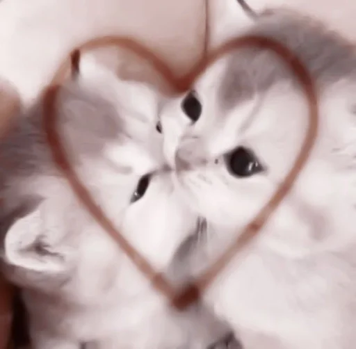 Стикер de @stickerfromlili :: @fStikBot - 10