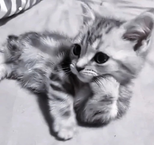 Стикер de @stickerfromlili :: @fStikBot - 9