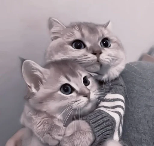 Стикер de @stickerfromlili :: @fStikBot - 8