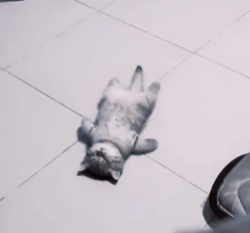 Стикер de @stickerfromlili :: @fStikBot - 7