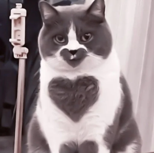 Стикер de @stickerfromlili :: @fStikBot - 6