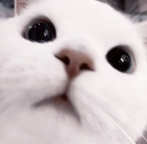 Стикер de @stickerfromlili :: @fStikBot - 5