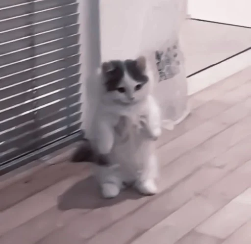 Стикер de @stickerfromlili :: @fStikBot - 3