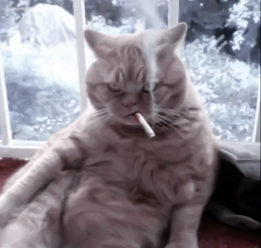 Стикер de @stickerfromlili :: @fStikBot - 2