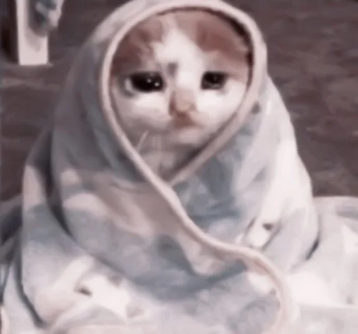 Стикер de @stickerfromlili :: @fStikBot - 1