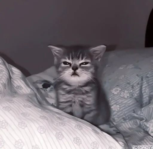 Стикер de @stickerfromlili :: @fStikBot - 0