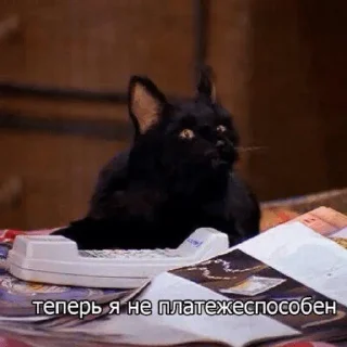 Sticker Больше тут 👉 @premiumstikery - 11