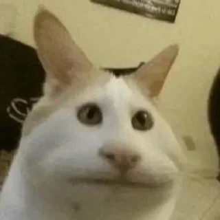 Sticker Больше тут 👉 @premiumstikery - 3