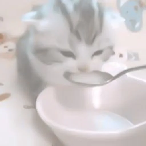 ceramic serveware porcelain