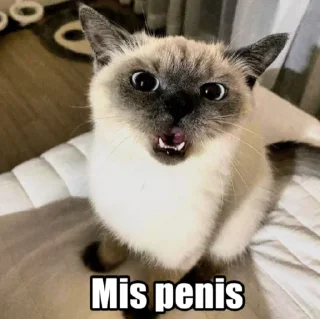 Стикер mis penis - 0