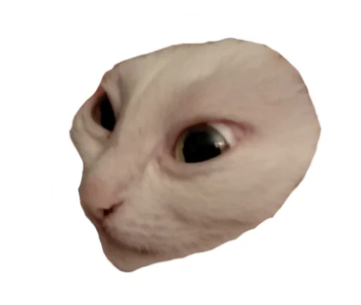 Sticker cats_and_gatos - 1