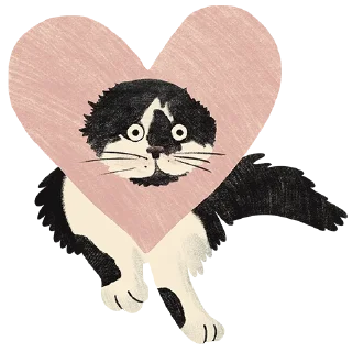 Sticker Cats FH + Kotletasag - 10