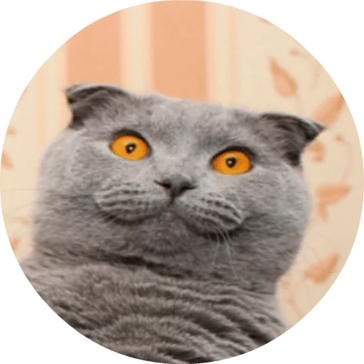 Sticker catsbySmol2 - 10