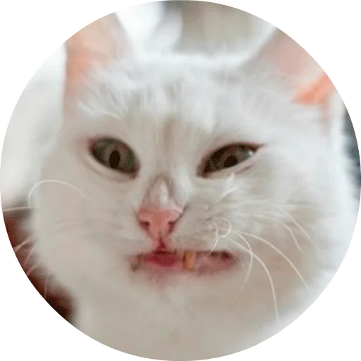 Sticker catsbySmol2 - 4