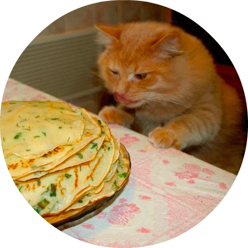 Sticker catsbySmol2 - 3