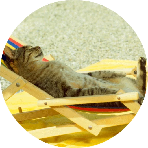 Sticker catsbySmol2 - 1