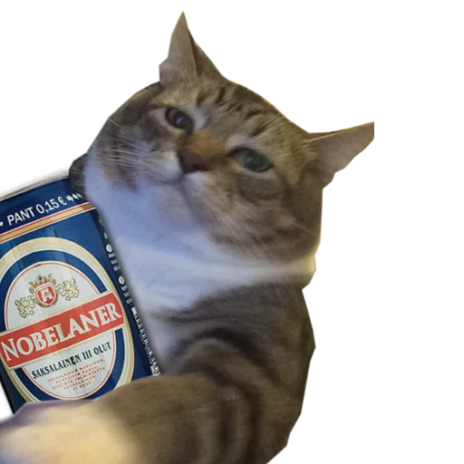 small to medium-sized cats text felidae