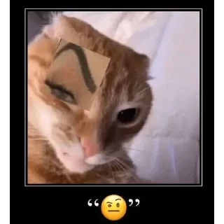 Sticker cats don't sleep - 11