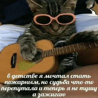 Sticker cats don't sleep - 10