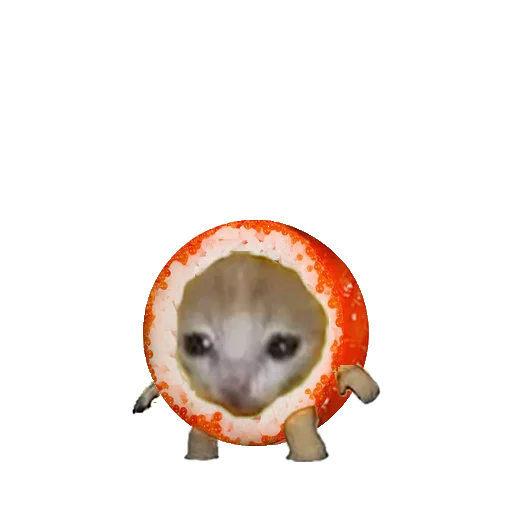 животное собака