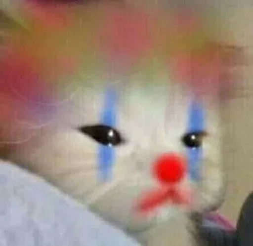 cat small to medium-sized cats domestic cat