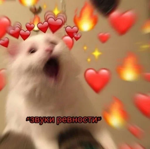 mammal animal christmas