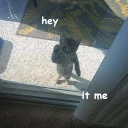 Sticker Not So Polite Cats - 11