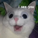 Sticker Not So Polite Cats - 5