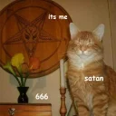 Sticker Not So Polite Cats - 3