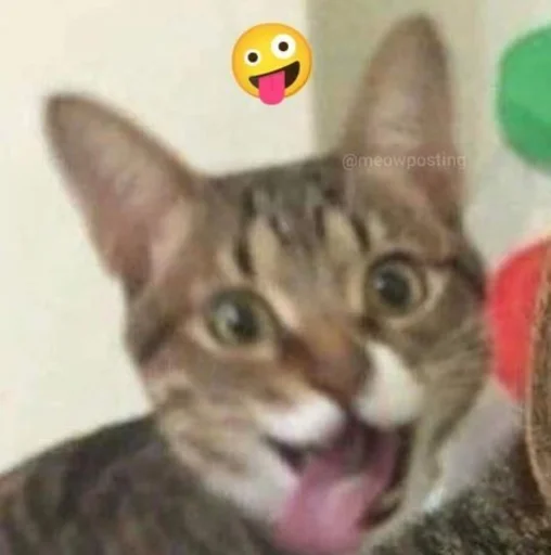 Sticker catsinlowresolution - 1